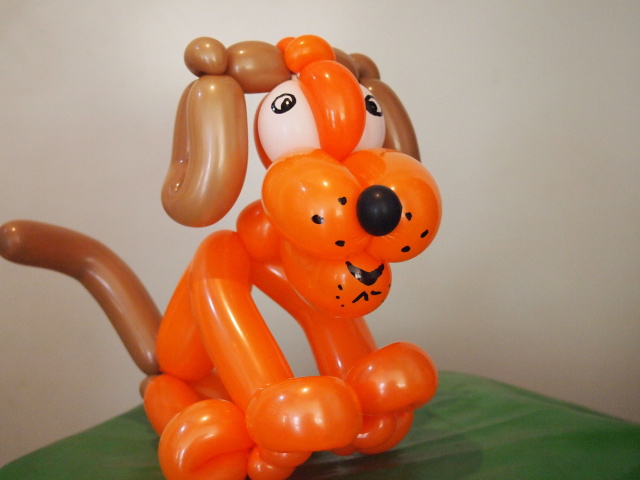 Hannover Ballonmodellierer Hund sitzent
